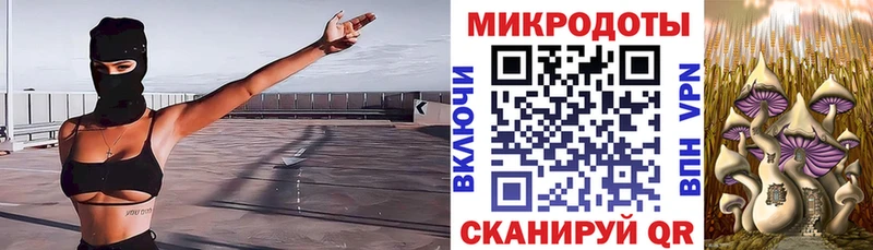 Псилоцибиновые грибы мухоморы  купить   Почеп 